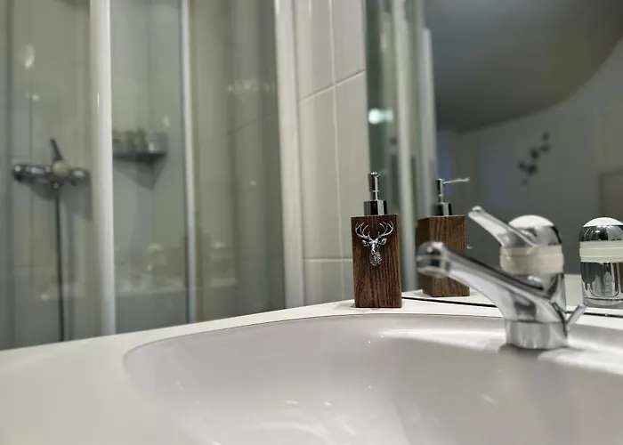 Lomatte 1758 * Saas-Fee