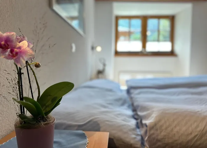 Lomatte 1758 Saas-Fee